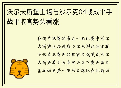 沃尔夫斯堡主场与沙尔克04战成平手战平收官势头看涨